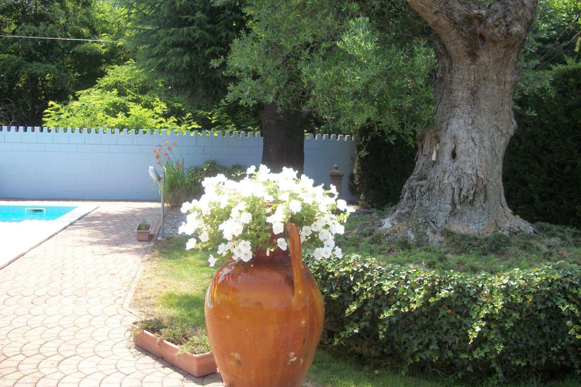 בוסטו ארסיציו B&B Southitaly מראה חיצוני תמונה